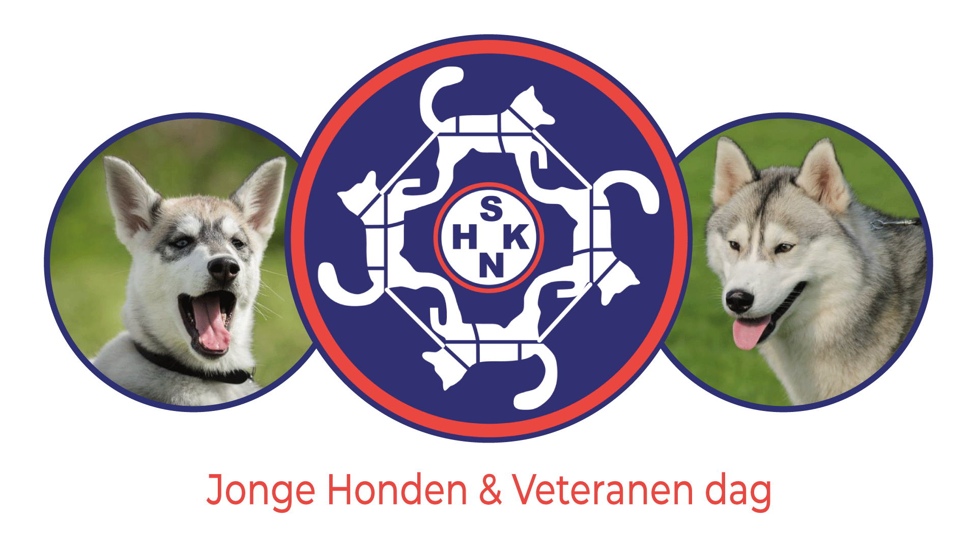 Jonge Honden & Veteranendag