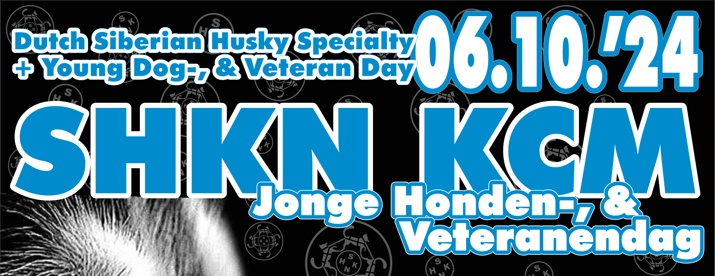 Jonge honden & Veteranendag 2024 (JHVD)